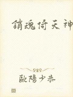 销魂倚天神雕封面