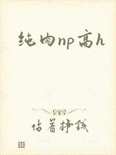 纯肉np高h