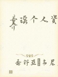 童瑶个人资料简介