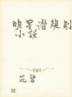 明星潜规则之皇 小说