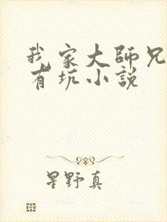 我家大师兄脑子有坑小说