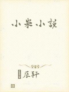 小米小说封面