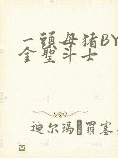 一头母猪BY黄金圣斗士封面