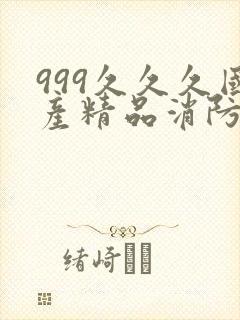 999久久久国产精品消防器材