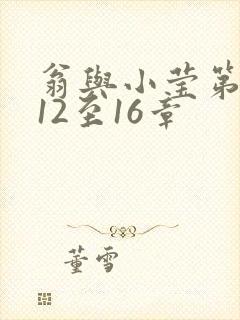 翁与小莹第十部12至16章