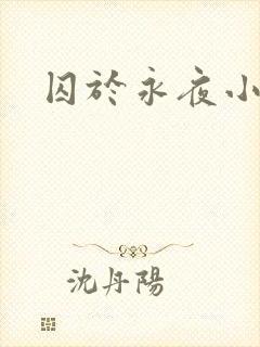 囚于永夜小说