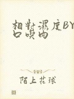 相对湿度BY大口吃肉