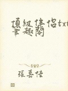 顶级伴侣txt笔趣阁