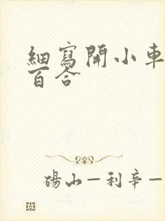 细写开小车车的百合封面