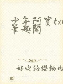 少年阿宾txt笔趣阁封面