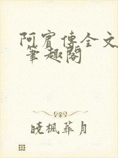 阿宾传全文阅读 笔趣阁
