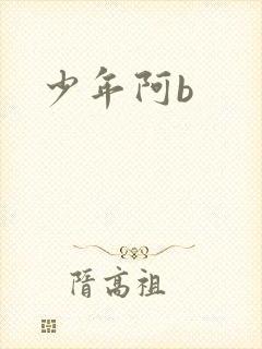 少年阿b