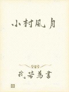 小村风月封面