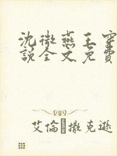 沈微燕王穿越小说全文免费阅读