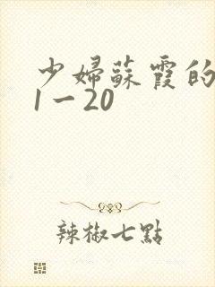 少妇苏霞的沉沦1一20