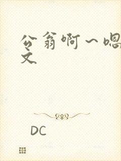 公翁啊～嗯啊h文封面