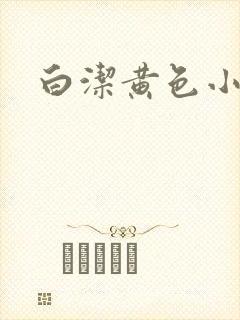 白洁黄色小说封面