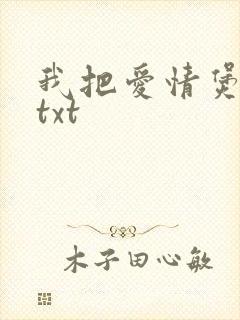 我把爱情煲成汤txt