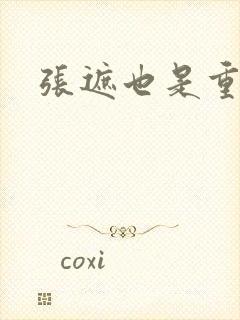 张遮也是重生吗封面