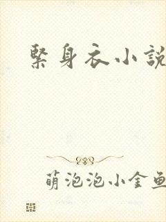 紧身衣小说封面