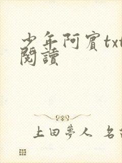 少年阿宾txt阅读