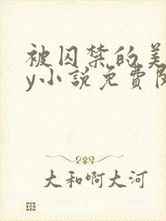 被囚禁的美人by小说免费阅读