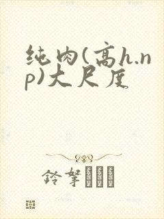 纯肉(高h.np)大尺度