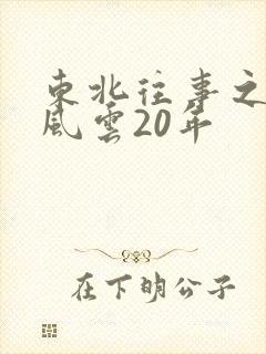 东北往事之黑道风云20年封面
