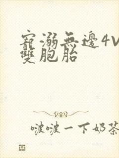 宠溺无边4V2双胞胎