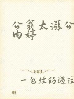 公翁太涨公欲息肉婷