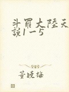 斗罗大陆天狂传说1一5