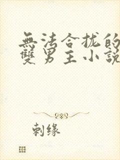 无法合拢的总裁双男主小说