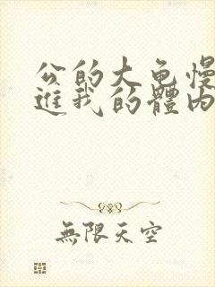 公的大龟慢慢挺进我的体内视频