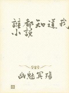 谁都知道我爱你小说