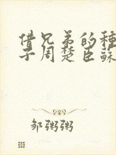 借兄弟的种生孩子周楚臣苏糖