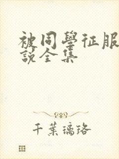 被同学征服的小说全集