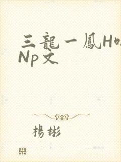 三龙一凤H啪肉Np文封面