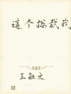 这个总裁我要了封面