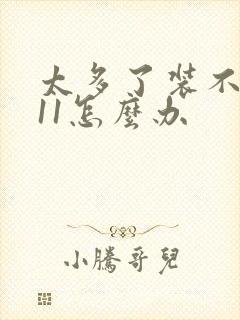 太多了装不下h11怎么办