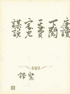 谋定天下唐诚小说免费阅读