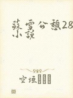 苏雪公憩28篇小说封面
