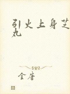 引火上身芝麻糖丸