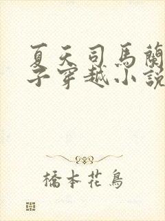 夏天司马兰九皇子穿越小说笔趣阁