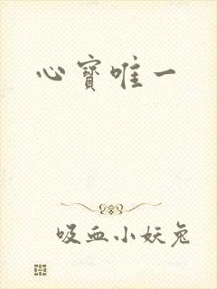 心宝唯一封面