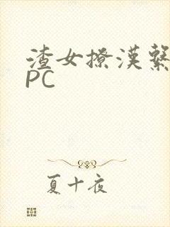 渣女撩汉系统NPC