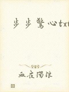 步步惊心txt