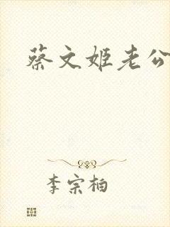 蔡文姬老公封面