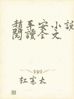 赵平安小说免费阅读全文封面