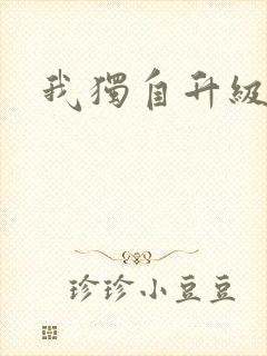 我独自升级小说封面