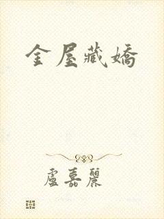 金屋藏娇封面